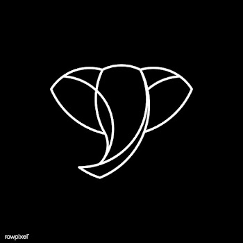 Linear illustration of a elephant's head | Free stock vector - 524748