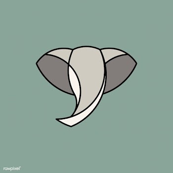 Linear illustration of a elephant's head | Free stock vector - 524766