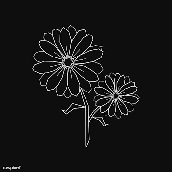 Linear illustration of a flower | Free stock vector - 518123