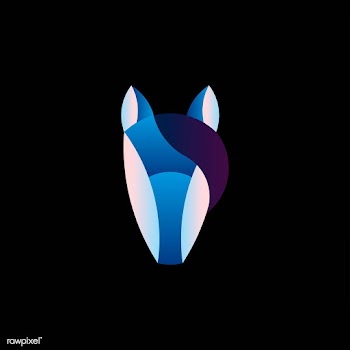 Linear illustration of a horse's head | Free stock vector - 524702