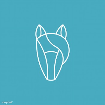 Linear illustration of a horse's head | Free stock vector - 524756