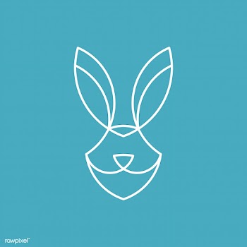 Linear illustration of a rabbit's head | Free stock vector - 524677