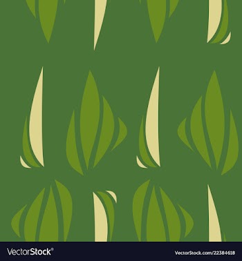 Linear pattern of diagonal lines stripe effect vector image