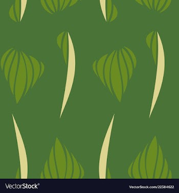 Linear pattern of diagonal lines stripe effect vector image