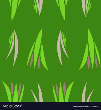 Linear pattern of diagonal lines stripe effect vector image