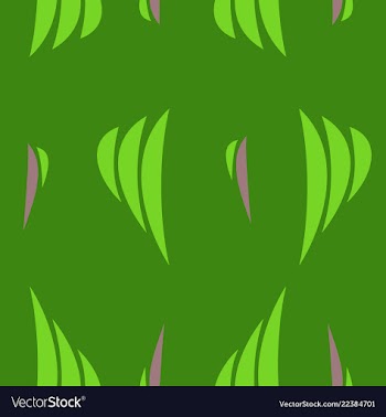 Linear pattern of diagonal lines stripe effect vector image