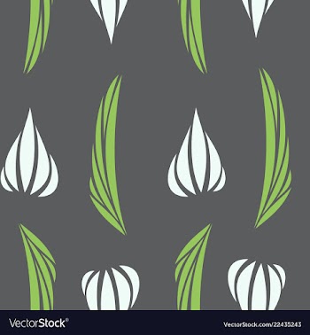 Linear pattern of diagonal lines stripe effect vector image