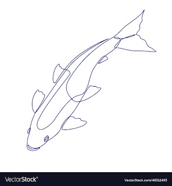 linear stylized drawing of koi fish