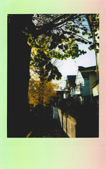 Lined Houses Beside Trees Screenshot