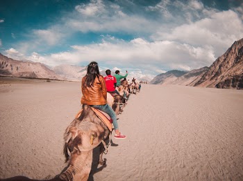 Lined People Riding Camel on Desert