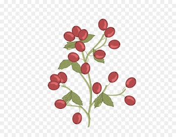 Lingonberry Pink peppercorn Radish Flower - clipps sign 