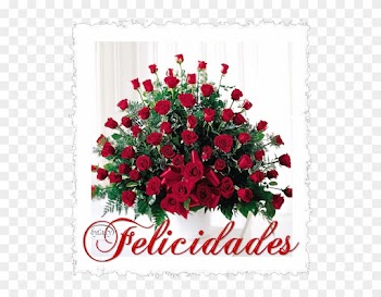 [linked Image] - Beautiful Roses