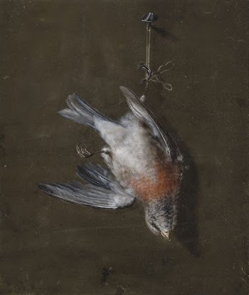 Linnet, 1830 - 1839, Wilhelm | Free Photo - rawpixel