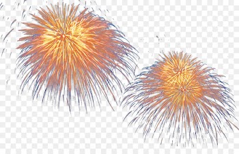 LInternational des Feux Loto-Quxe9bec Sumidagawa Fireworks Festival - Beautiful beautiful fireworks festival 