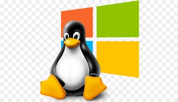Linux distribution Computer Servers Ubuntu Virtual private server - linux 