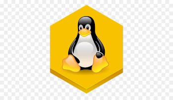Linux, Operating Systems, Linux Distribution, Flightless Bird, Bird PNG