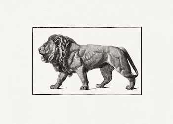 Lion (1870) by Elbridge Kingsley. | Free Photo Illustration - rawpixel