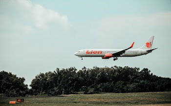 Lion Airliner Near Trees