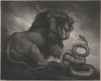 Lion and Snake | Free Photo - rawpixel