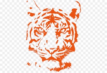 Lion Bengal tiger Cat Logo - Orange tiger head vector material 
