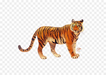 Lion Cat Portable Network Graphics Clip art Image - lion 