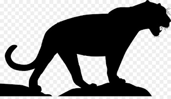 Lion Cat Terrestrial animal Pet Clip art -  