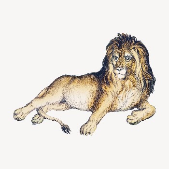 Lion collage element, wildlife vintage | Free PSD Illustration - rawpixel