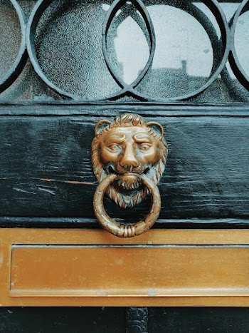 Lion Door Knocker Close-up Photography