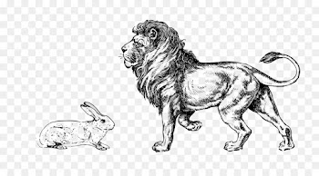 Lion, Drawing, Art, Mammal, Vertebrate PNG