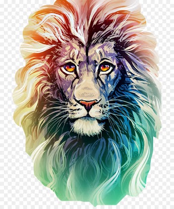 Lion Drawing: Colored Pencil Drawing: Colored Pencil Art - lion 