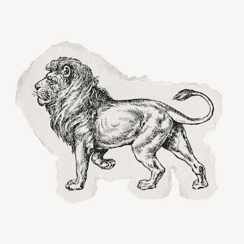 Lion drawing, ripped paper, animal | Free PSD Illustration - rawpixel