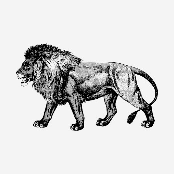 Lion drawing, vintage animal, wildlife | Free Photo - rawpixel