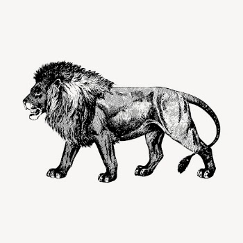 Lion drawing, vintage animal, wildlife | Free Vector - rawpixel
