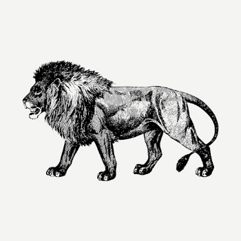 Lion drawing, vintage hand drawn | Free PSD - rawpixel