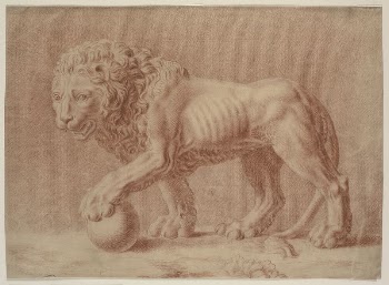 Lion facing left with left | Free Photo - rawpixel