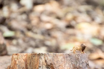Lion Figurine on Tree Stump