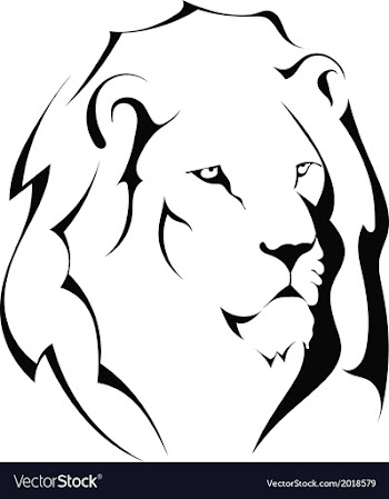 Lion head on a white background vector image