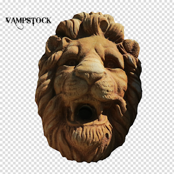 Lion Head PNG Vampstock by VAMPSTOCK on DeviantArt