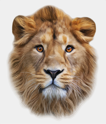 Lion Head Png, Vectors, PSD, and Clipart for Free Download | Pngtree