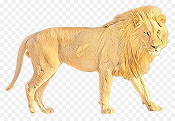 Lion, Jaguar, Desktop Wallpaper, Felidae PNG