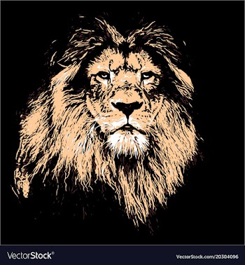 Lion king vector image