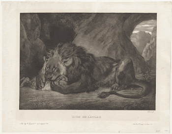 Lion of the Atlas Mountains. | Free Photo - rawpixel