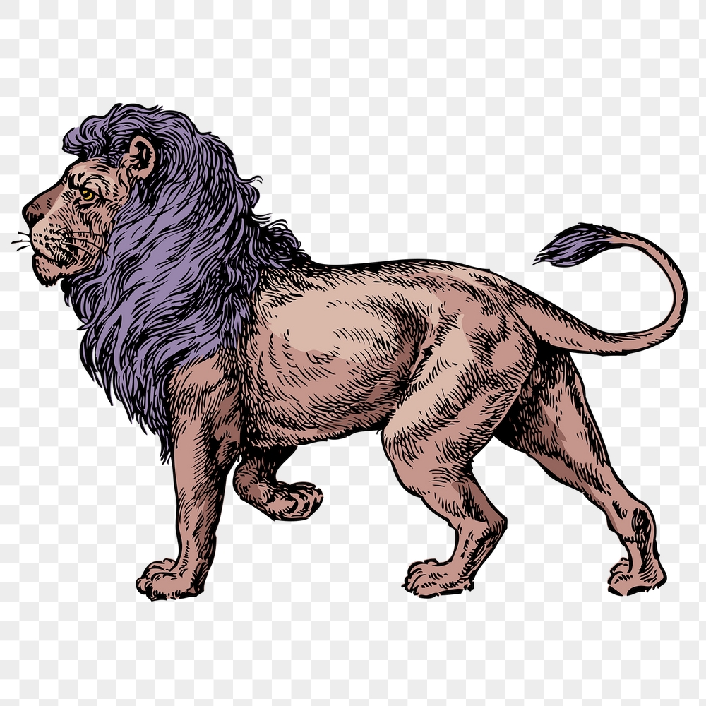 Lion png sticker, animal vintage | Free PNG Illustration - rawpixel