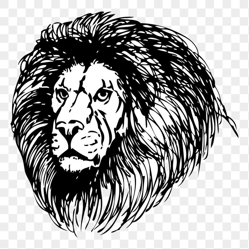Lion png sticker illustration, transparent | Free PNG - rawpixel