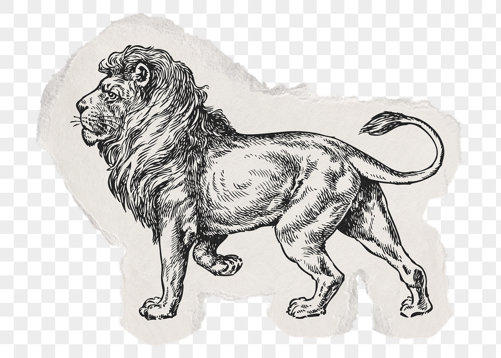 Lion png sticker, ripped paper, | Free PNG Illustration - rawpixel