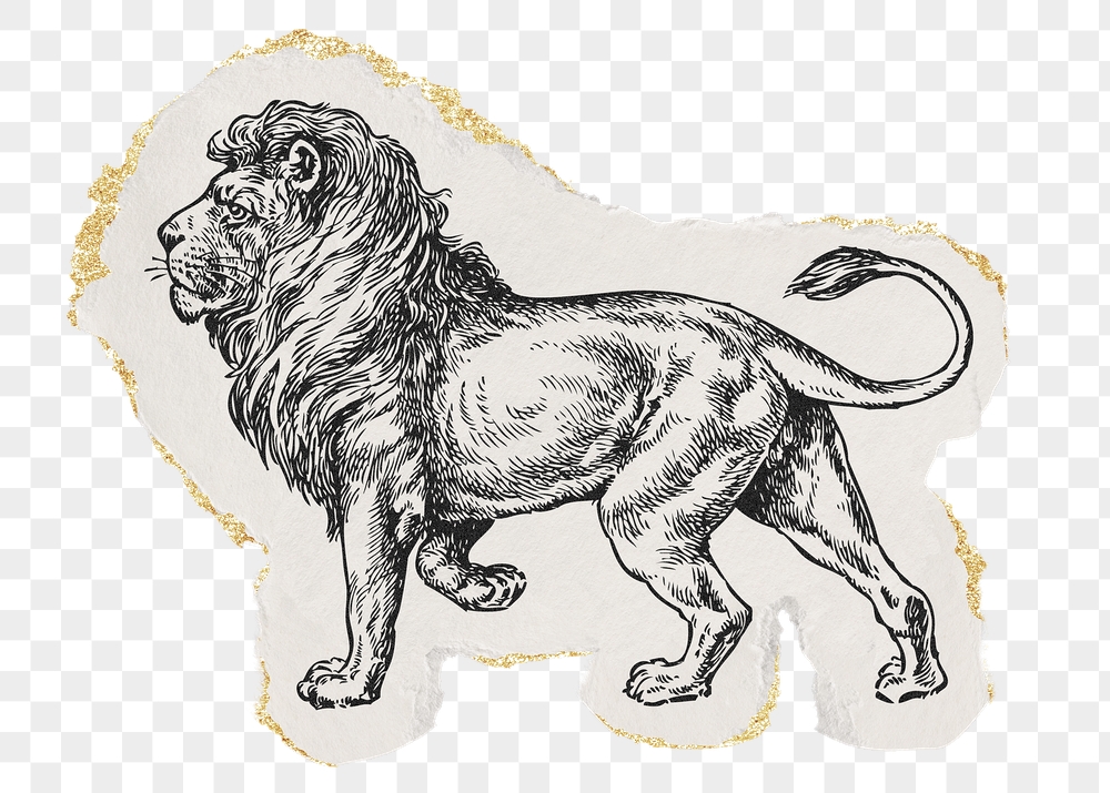 Lion png sticker, ripped paper, | Free PNG Illustration - rawpixel
