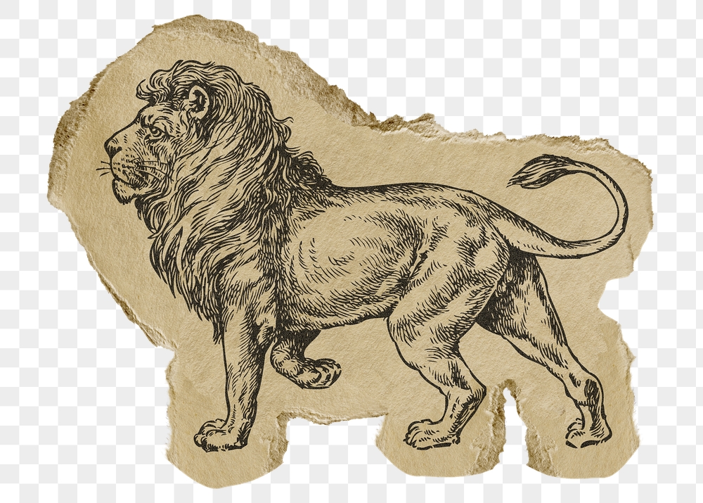 Lion png sticker, ripped paper, | Free PNG Illustration - rawpixel