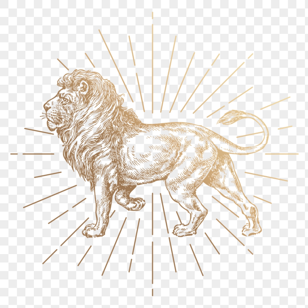 Lion png sticker, vintage animal, | Free PNG Illustration - rawpixel