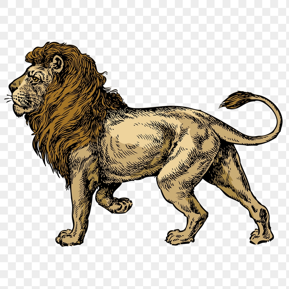 Lion png sticker, vintage animal | Free PNG Illustration - rawpixel