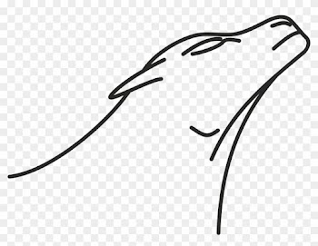 Lion Simba Line Art Drawing Clip Art - Lion Simba Line Art Drawing Clip Art